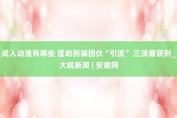 成人动漫有哪些 匡助拐骗团伙“引流” 三须眉获刑_大皖新闻 | 安徽网