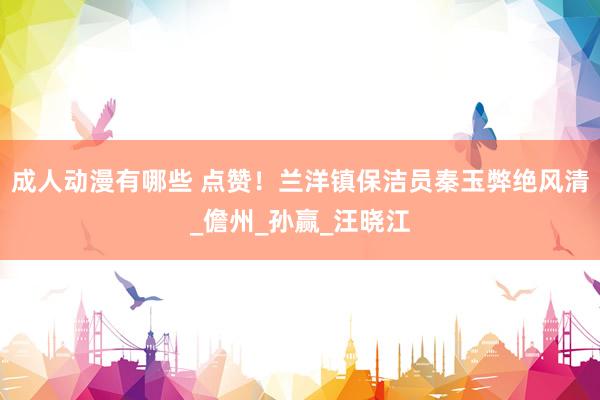 成人动漫有哪些 点赞！兰洋镇保洁员秦玉弊绝风清_儋州_孙赢_汪晓江