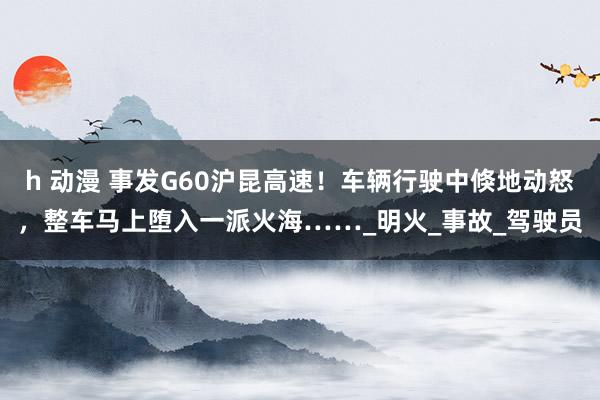 h 动漫 事发G60沪昆高速！车辆行驶中倏地动怒，整车马上堕入一派火海……_明火_事故_驾驶员