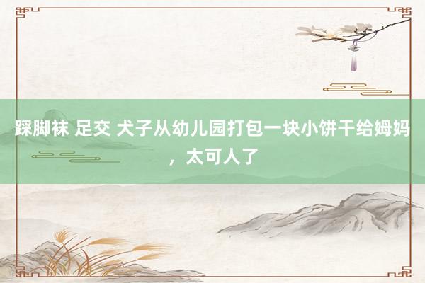踩脚袜 足交 犬子从幼儿园打包一块小饼干给姆妈，太可人了