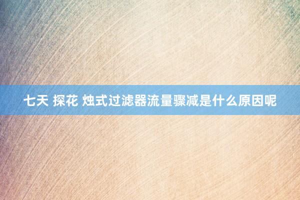 七天 探花 烛式过滤器流量骤减是什么原因呢