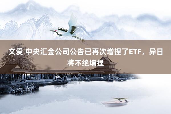 文爱 中央汇金公司公告已再次增捏了ETF，异日将不绝增捏