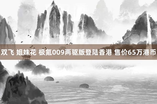 双飞 姐妹花 极氪009两驱版登陆香港 售价65万港币