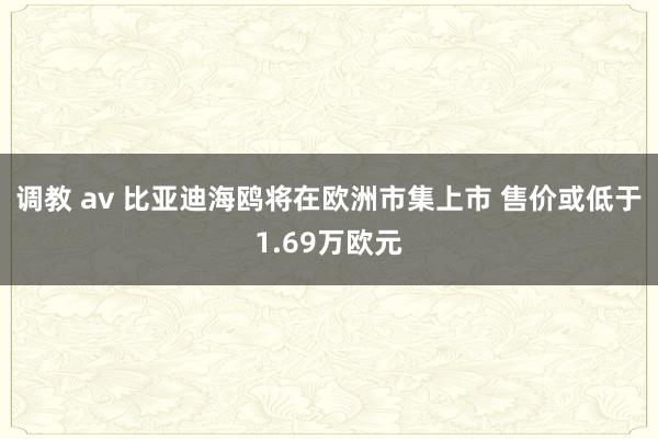 调教 av 比亚迪海鸥将在欧洲市集上市 售价或低于1.69万欧元