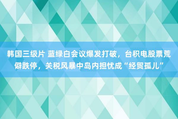 韩国三级片 蓝绿白会议爆发打破，台积电股票荒僻跌停，关税风暴中岛内担忧成“经贸孤儿”