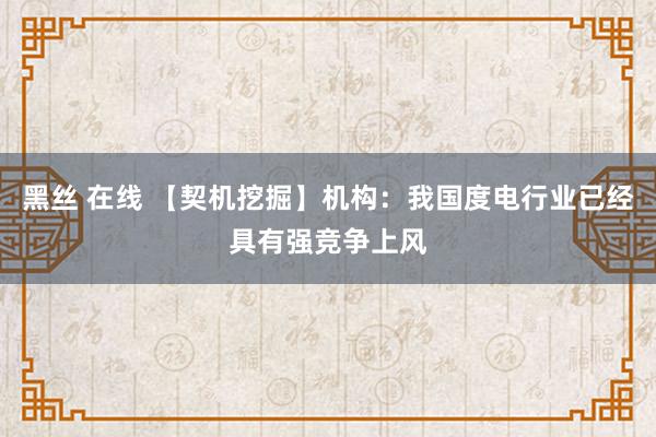 黑丝 在线 【契机挖掘】机构：我国度电行业已经具有强竞争上风