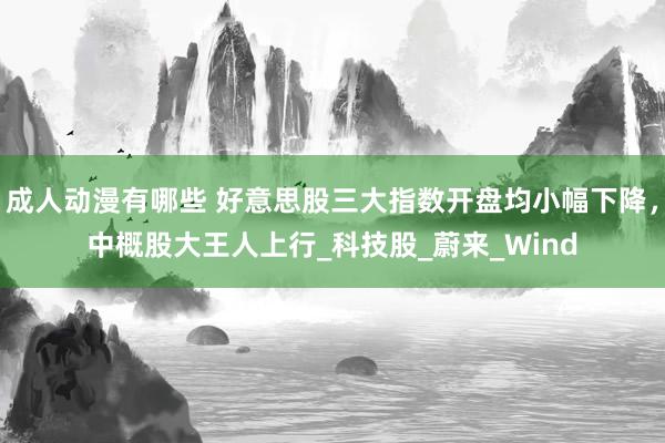 成人动漫有哪些 好意思股三大指数开盘均小幅下降，中概股大王人上行_科技股_蔚来_Wind