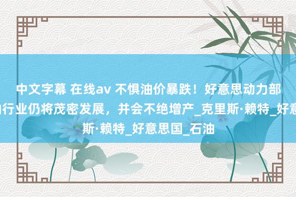 中文字幕 在线av 不惧油价暴跌！好意思动力部长：页岩油行业仍将茂密发展，并会不绝增产_克里斯·赖特_好意思国_石油