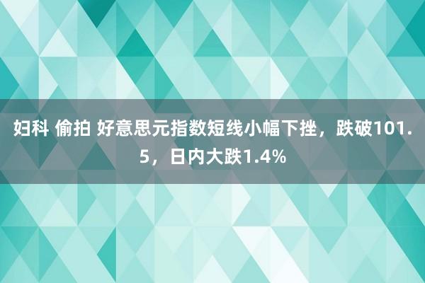 妇科 偷拍 好意思元指数短线小幅下挫，跌破101.5，日内大跌1.4%
