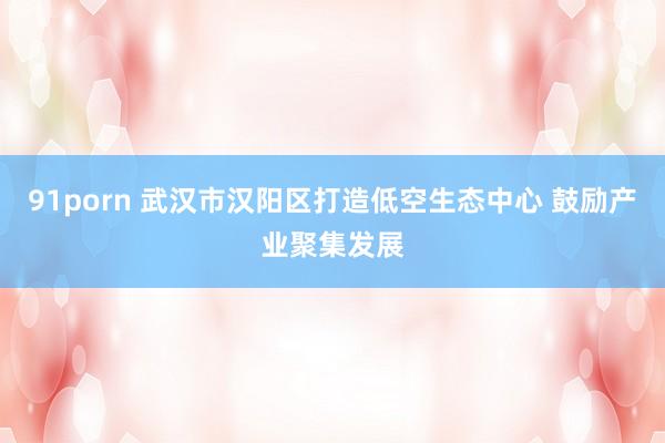 91porn 武汉市汉阳区打造低空生态中心 鼓励产业聚集发展