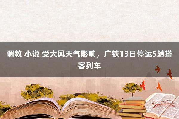 调教 小说 受大风天气影响，广铁13日停运5趟搭客列车