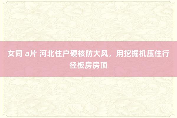 女同 a片 河北住户硬核防大风，用挖掘机压住行径板房房顶