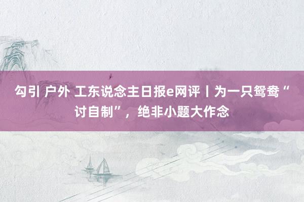 勾引 户外 工东说念主日报e网评丨为一只鸳鸯“讨自制”，绝非小题大作念