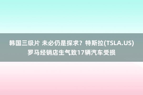 韩国三级片 未必仍是探求？特斯拉(TSLA.US)罗马经销店生气致17辆汽车受损
