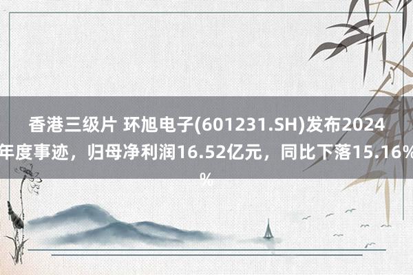 香港三级片 环旭电子(601231.SH)发布2024年度事迹，归母净利润16.52亿元，同比下落15.16%