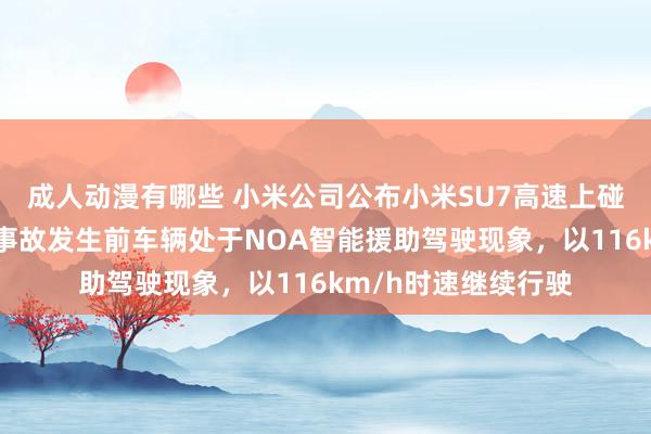 成人动漫有哪些 小米公司公布小米SU7高速上碰撞爆燃事件细节：事故发生前车辆处于NOA智能援助驾驶现象，以116km/h时速继续行驶