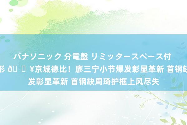 パナソニック 分電盤 リミッタースペース付 露出・半埋込両用形 🔥京城德比！廖三宁小节爆发彰显革新 首钢缺周琦护框上风尽失