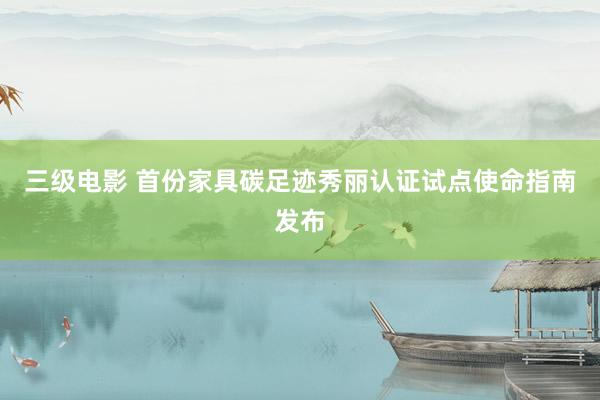 三级电影 首份家具碳足迹秀丽认证试点使命指南发布