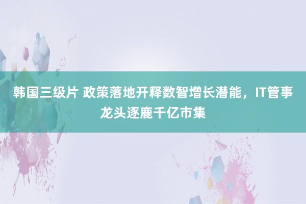 韩国三级片 政策落地开释数智增长潜能，IT管事龙头逐鹿千亿市集