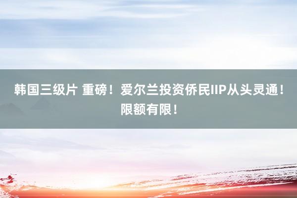 韩国三级片 重磅！爱尔兰投资侨民IIP从头灵通！限额有限！