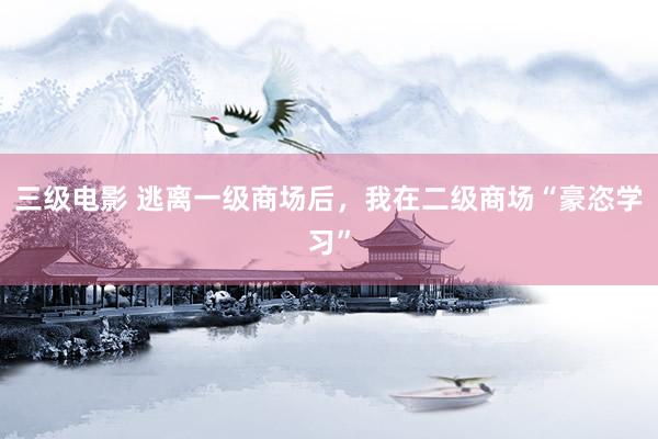 三级电影 逃离一级商场后，我在二级商场“豪恣学习”