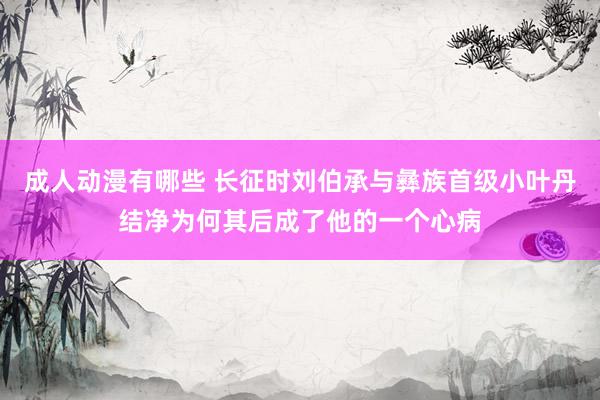 成人动漫有哪些 长征时刘伯承与彝族首级小叶丹结净为何其后成了他的一个心病