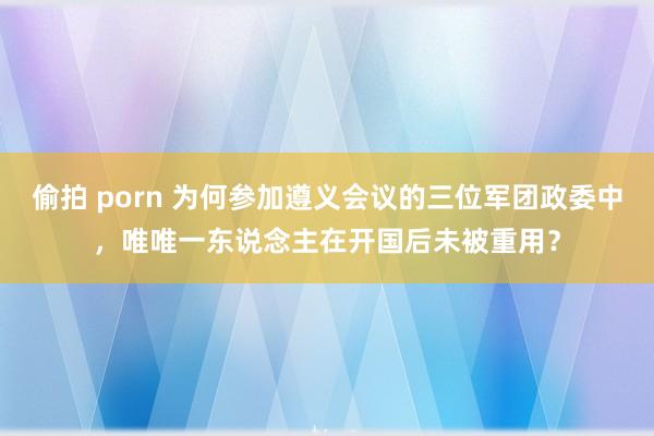偷拍 porn 为何参加遵义会议的三位军团政委中，唯唯一东说念主在开国后未被重用？