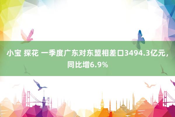 小宝 探花 一季度广东对东盟相差口3494.3亿元，同比增6.9%
