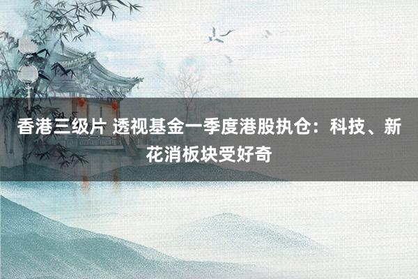 香港三级片 透视基金一季度港股执仓：科技、新花消板块受好奇