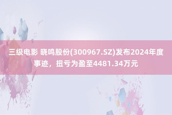 三级电影 晓鸣股份(300967.SZ)发布2024年度事迹，扭亏为盈至4481.34万元