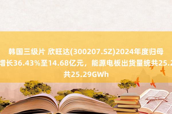 韩国三级片 欣旺达(300207.SZ)2024年度归母净利润增长36.43%至14.68亿元，能源电板出货量统共25.29GWh