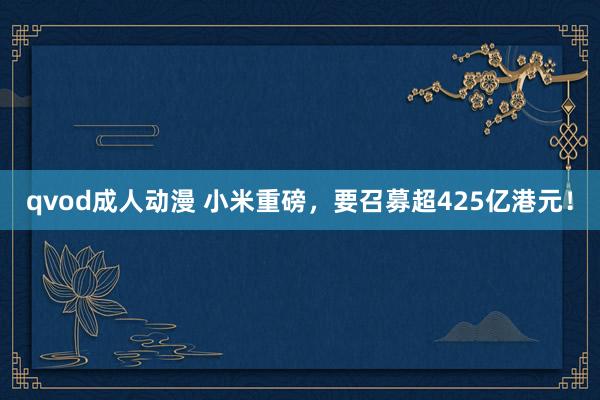 qvod成人动漫 小米重磅，要召募超425亿港元！