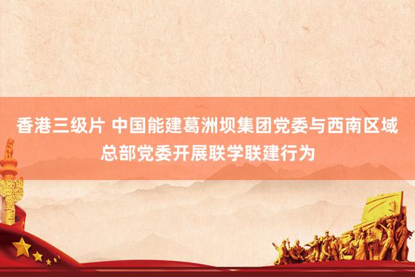 香港三级片 中国能建葛洲坝集团党委与西南区域总部党委开展联学联建行为