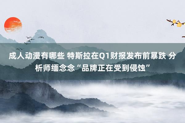 成人动漫有哪些 特斯拉在Q1财报发布前暴跌 分析师缅念念“品牌正在受到侵蚀”