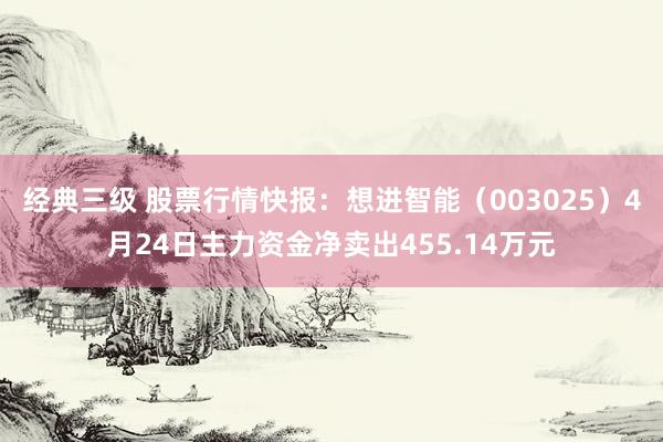 经典三级 股票行情快报：想进智能（003025）4月24日主力资金净卖出455.14万元