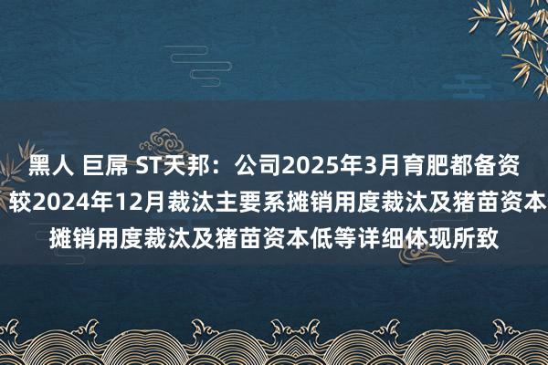 黑人 巨屌 ST天邦：公司2025年3月育肥都备资本13.28元/公斤，较2024年12月裁汰主要系摊销用度裁汰及猪苗资本低等详细体现所致