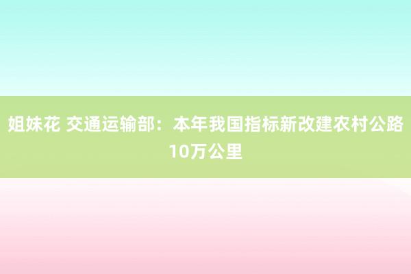 姐妹花 交通运输部：本年我国指标新改建农村公路10万公里