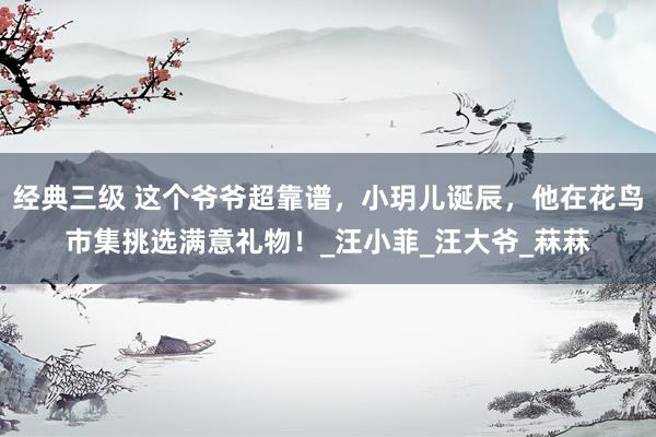 经典三级 这个爷爷超靠谱，小玥儿诞辰，他在花鸟市集挑选满意礼物！_汪小菲_汪大爷_菻菻