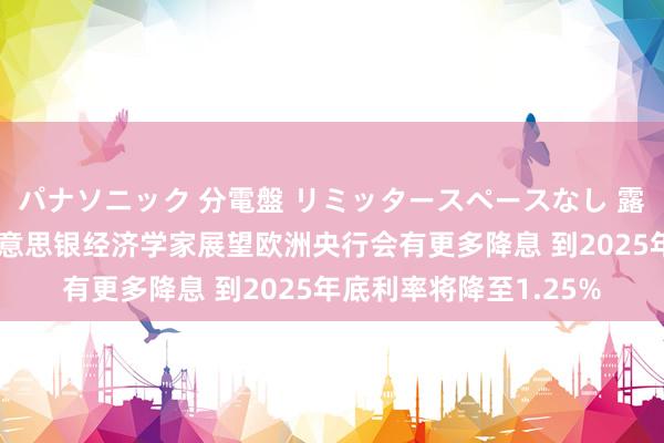 パナソニック 分電盤 リミッタースペースなし 露出・半埋込両用形 好意思银经济学家展望欧洲央行会有更多降息 到2025年底利率将降至1.25%
